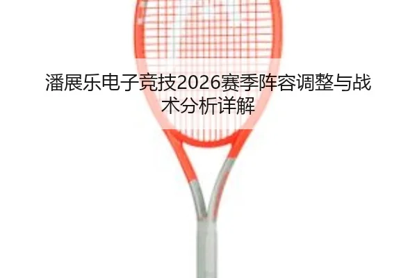 潘展乐电子竞技2026赛季阵容调整与战术分析详解