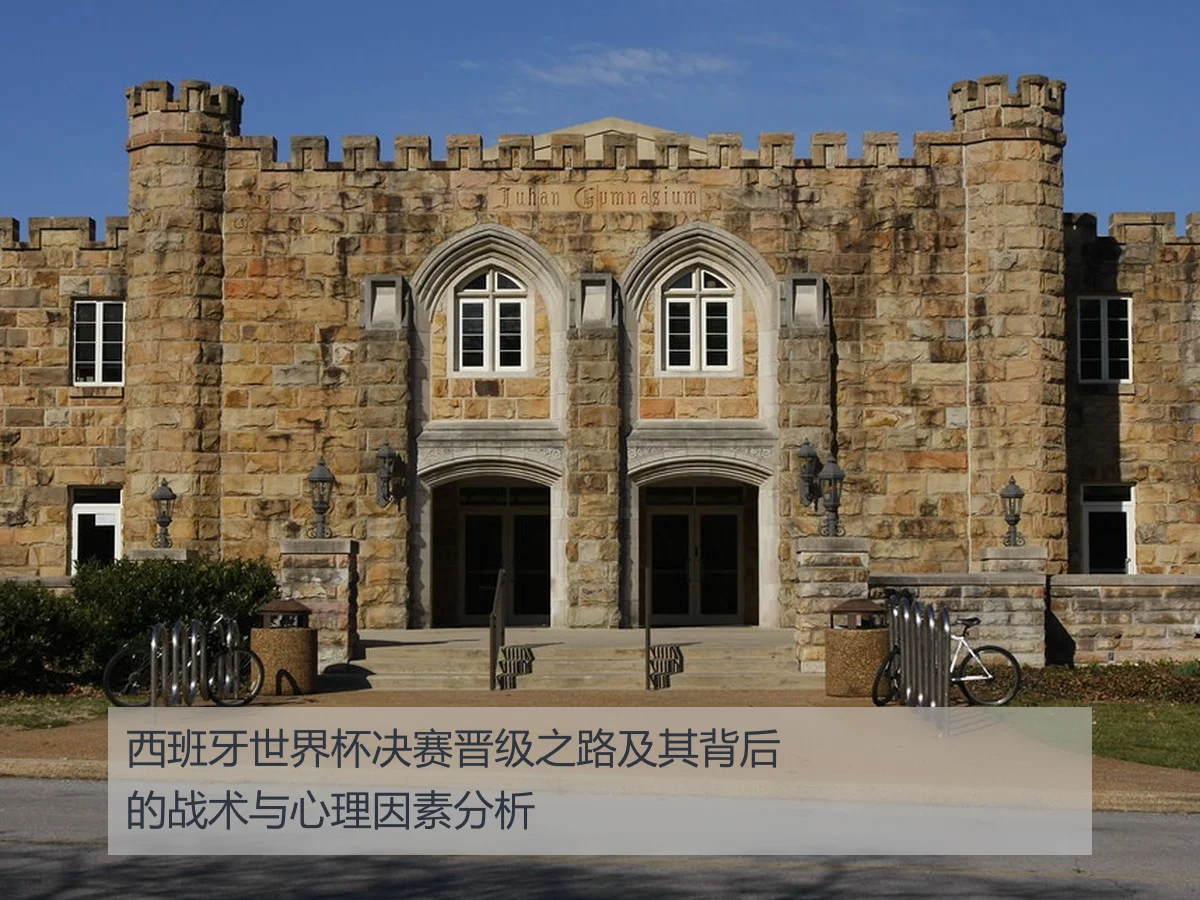 西班牙世界杯决赛晋级之路及其背后的战术与心理因素分析
